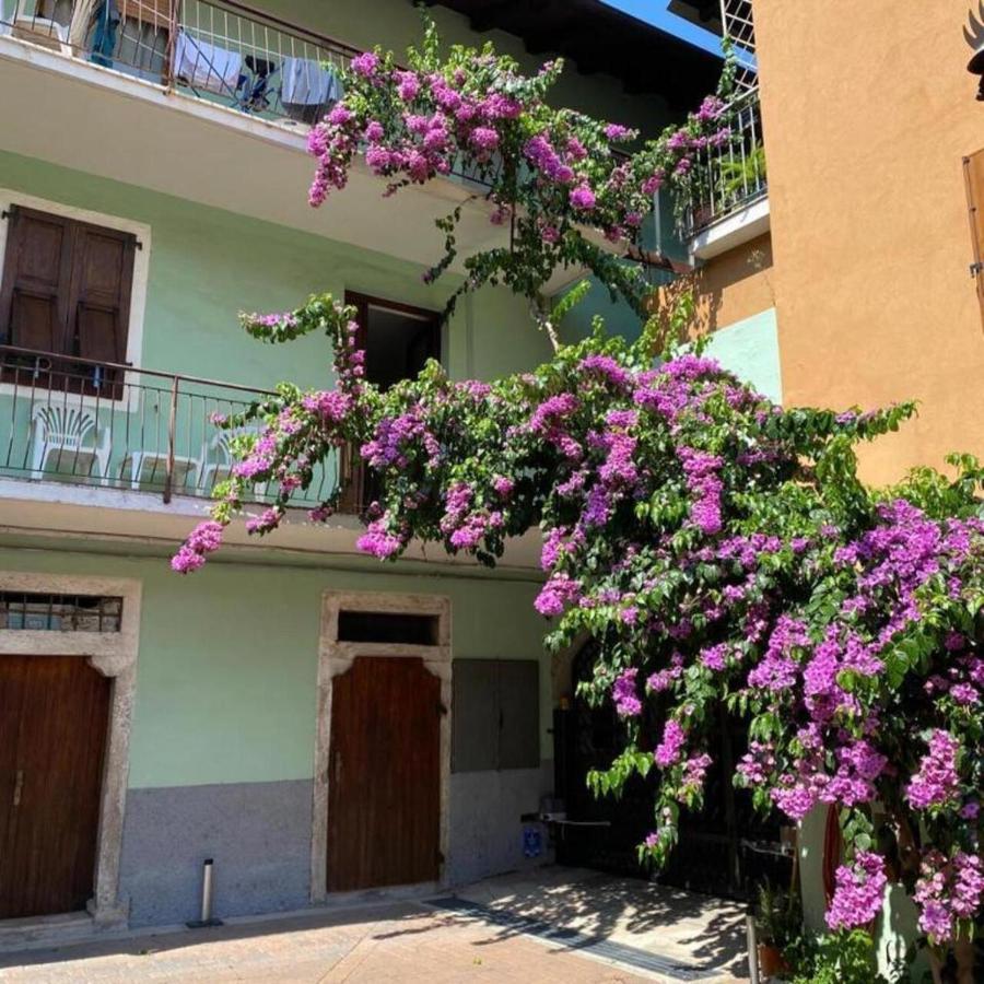 Casa Zanoni Lejlighed Torbole Sul Garda Eksteriør billede